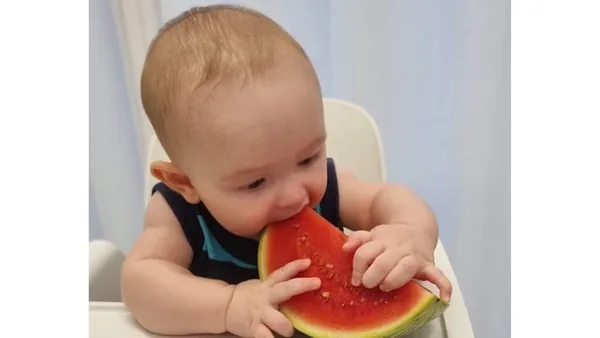 Introdução Alimentar dos 6 aos 9 meses